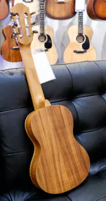 Denver - Guitar Ukulele 2